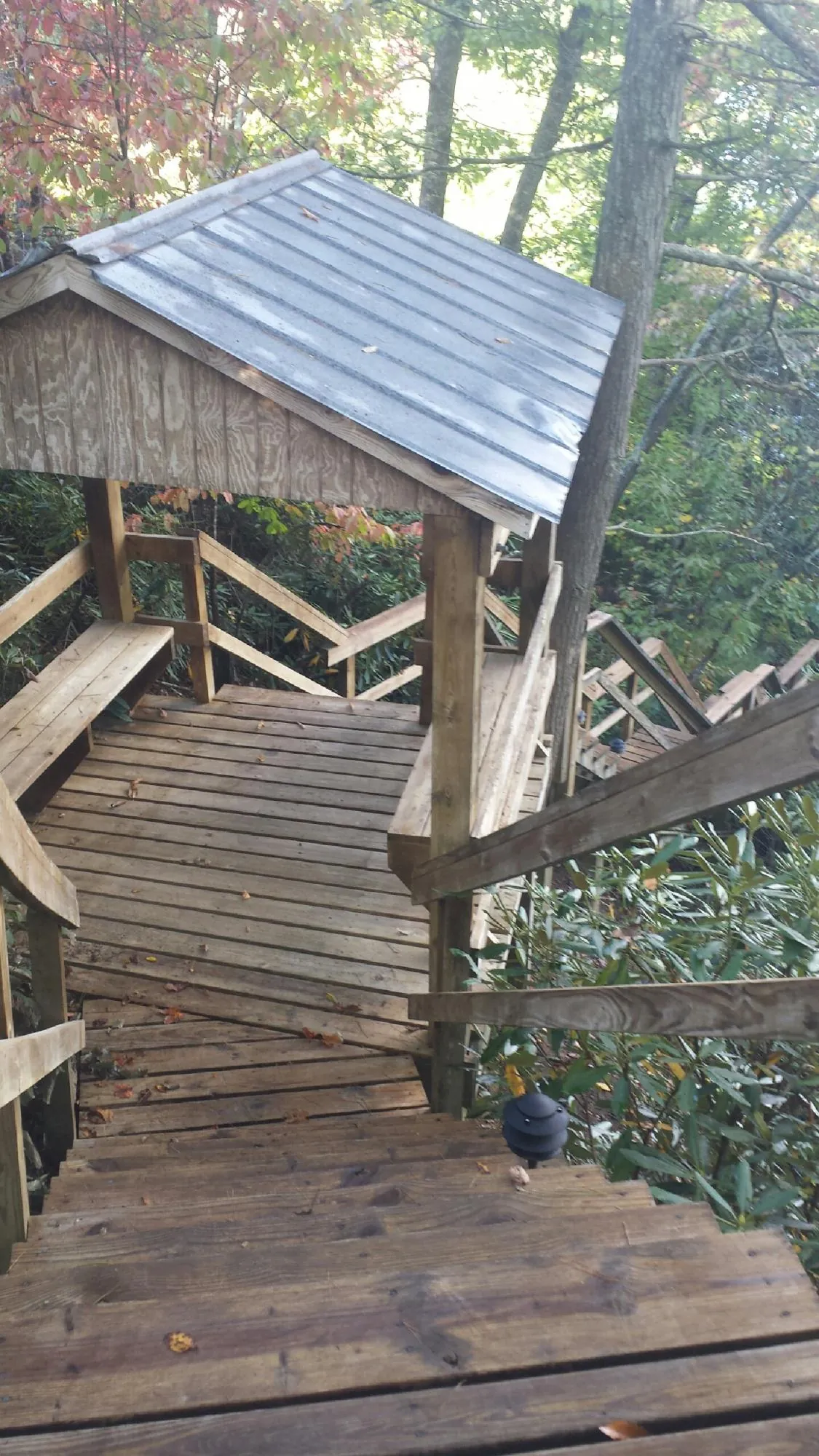 Metal roofed shelter over wooden steps on a wooded walkway — Skylight Repair & Installation work by our crew in Judsonia